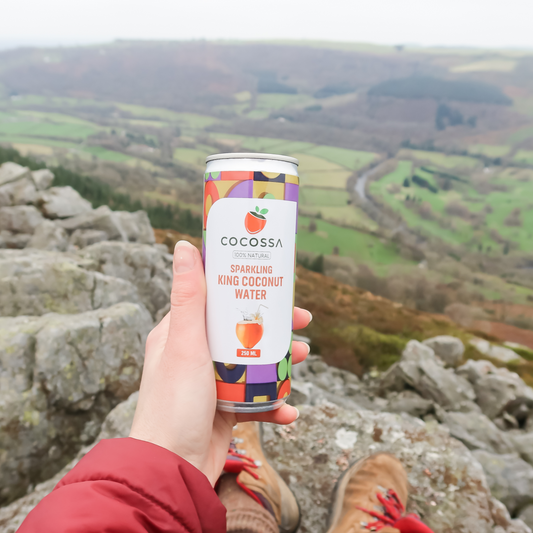 King Coconut Water (Multi-Packs)